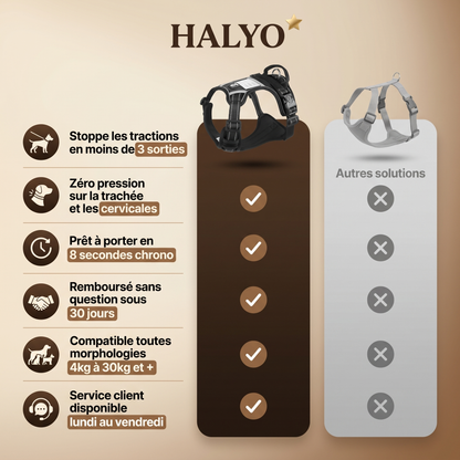 HARNAIS ANTI-TRACTION HALYO
